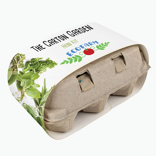 Carton Garden Herb Kit