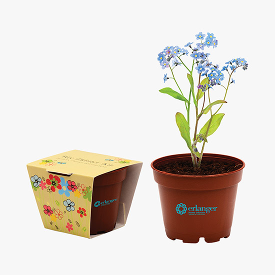 Small Planter Kit