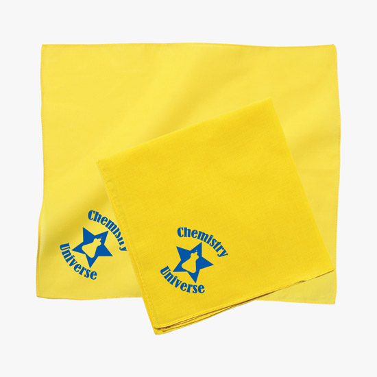 Hanky Bandanna 14 Square