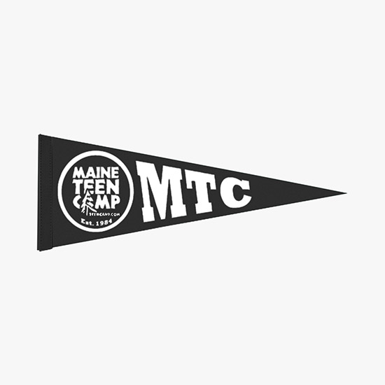 Felt Pennant - 9 x 24