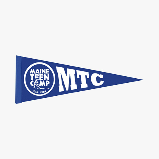 Felt Pennant - 9 x 24
