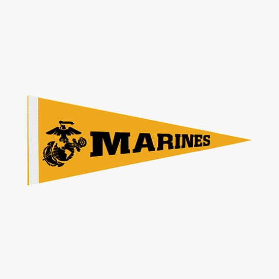 Felt Pennant - 12 x 30