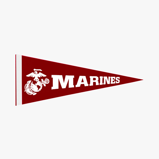 Felt Pennant - 12 x 30