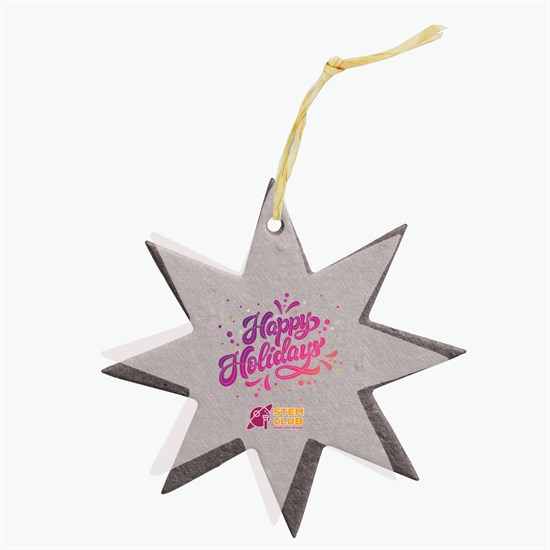 Seeded Paper Ornament - Star