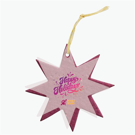Seeded Paper Ornament - Star