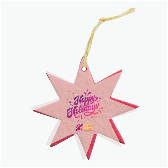 Seeded Paper Ornament - Star