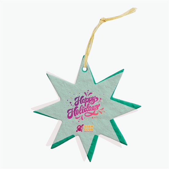 Seeded Paper Ornament - Star