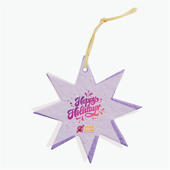 Seeded Paper Ornament - Star