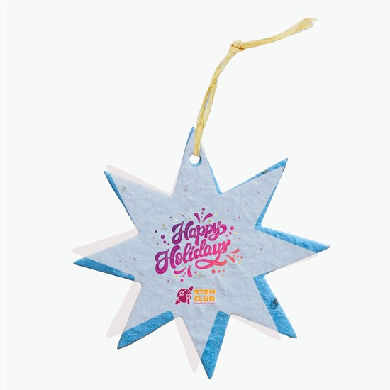 Seeded Paper Ornament - Star