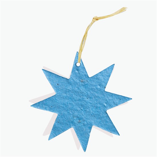 Seeded Paper Ornament - Star