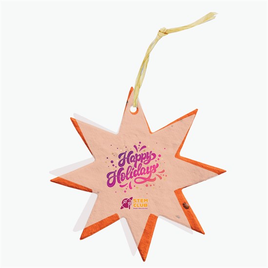 Seeded Paper Ornament - Star