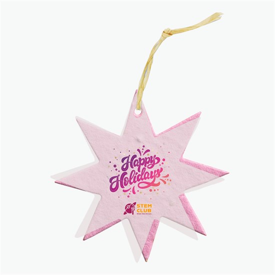 Seeded Paper Ornament - Star
