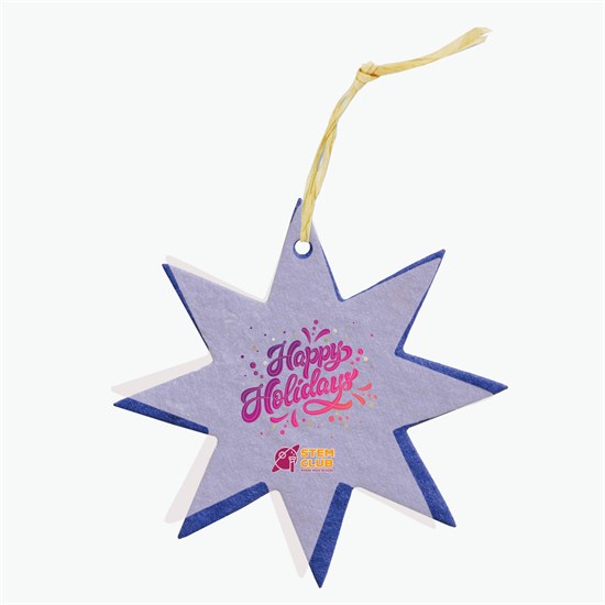 Seeded Paper Ornament - Star