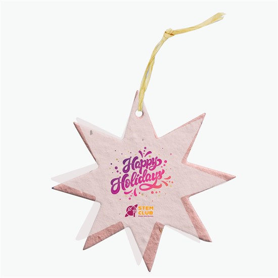 Seeded Paper Ornament - Star