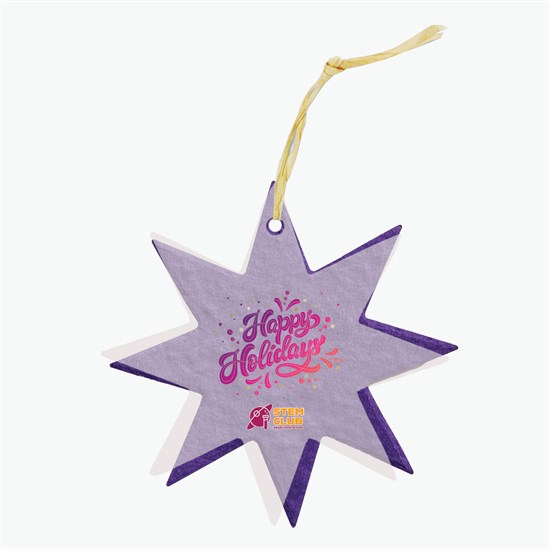 Seeded Paper Ornament - Star