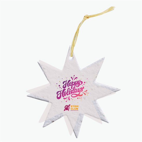 Seeded Paper Ornament - Star