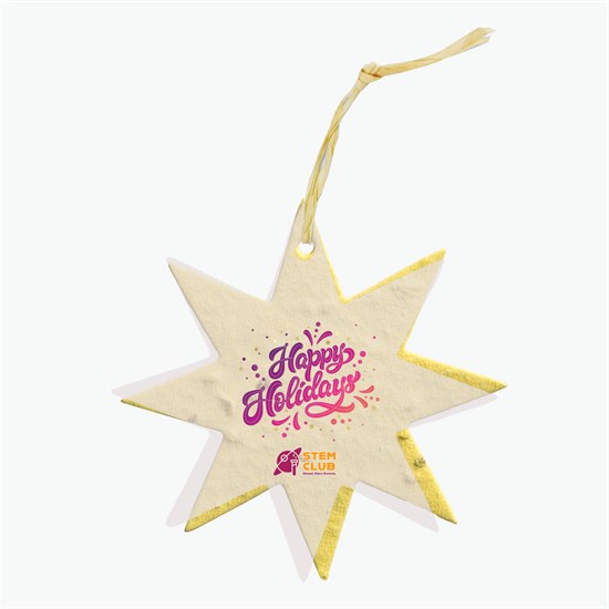 Seeded Paper Ornament - Star