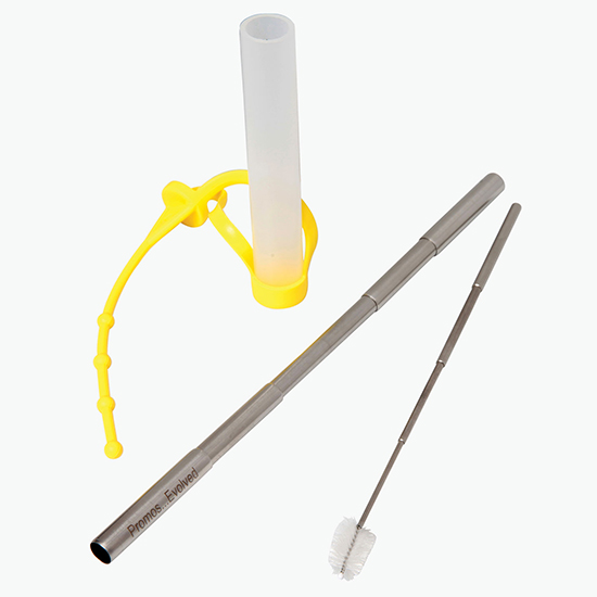 Expandable Steel Straw with Case - Clearance