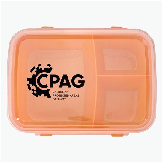 Lunch to Go Container