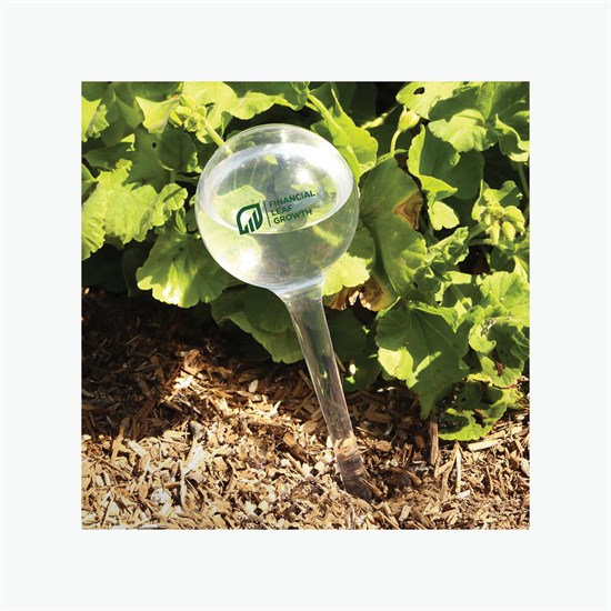 Evergreen Self-Watering Plant Globe