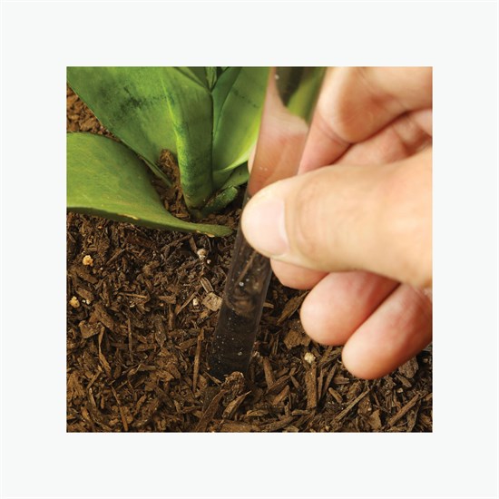 Evergreen Self-Watering Plant Globe