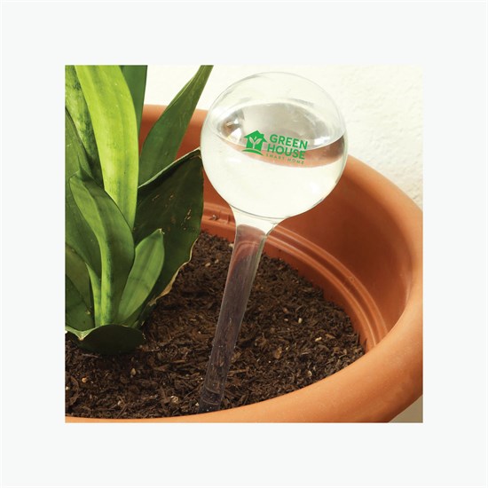 Evergreen Self-Watering Plant Globe