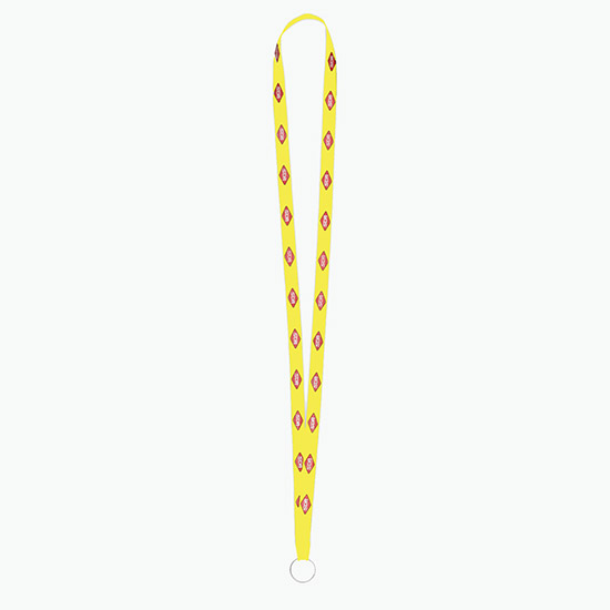 Plan Ahead & Save 3/8 Econo Lanyard w/Split Ring