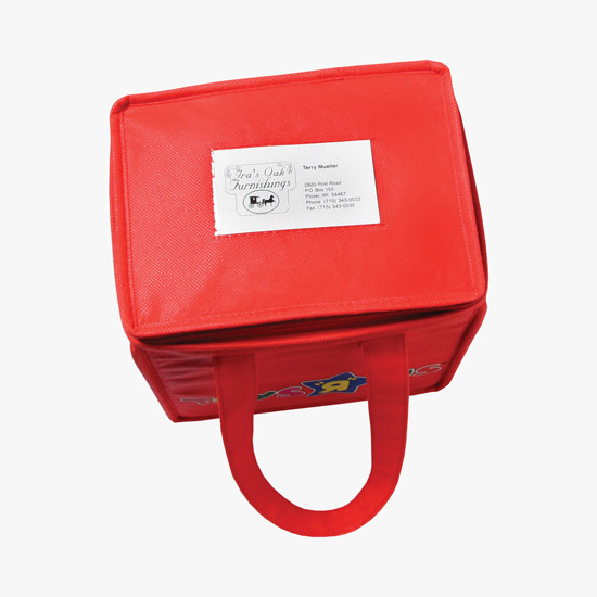 100 GSM Non-Woven Insulated Lunch Tote - Color Magic