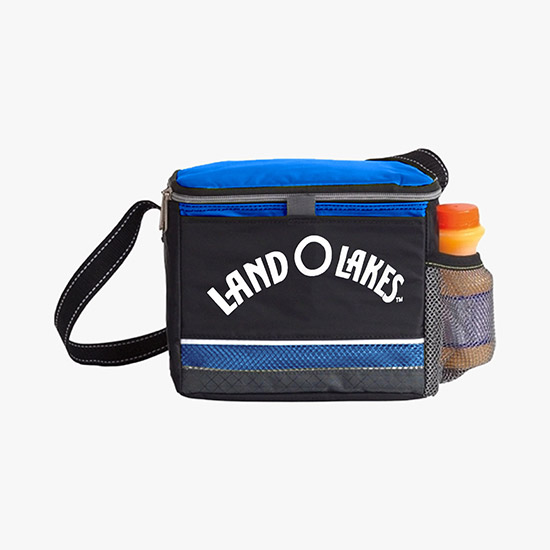 Icy Bright Lunch Cooler