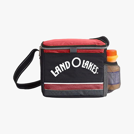 Icy Bright Lunch Cooler