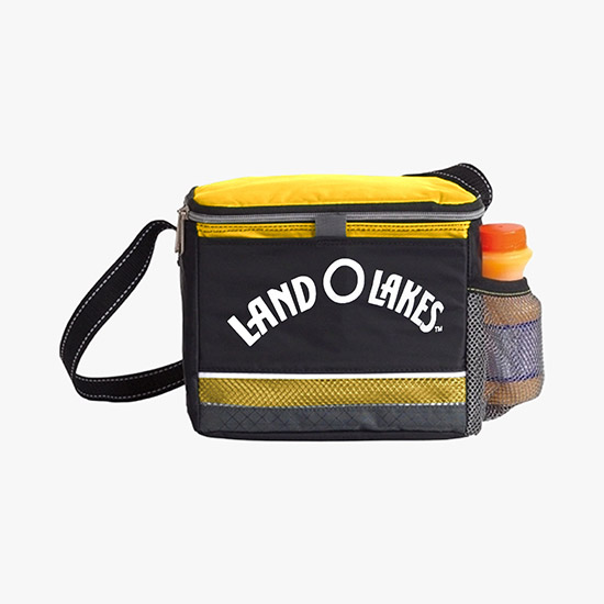 Icy Bright Lunch Cooler