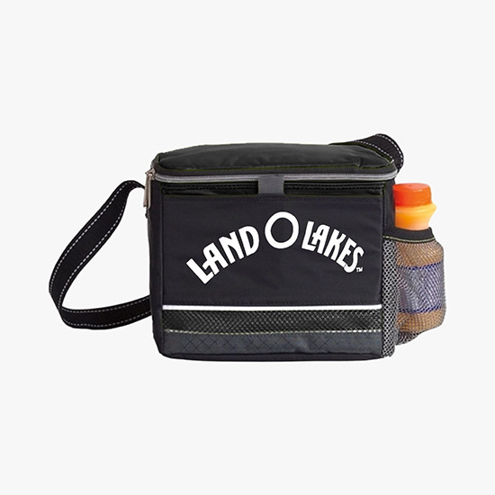 Icy Bright Lunch Cooler