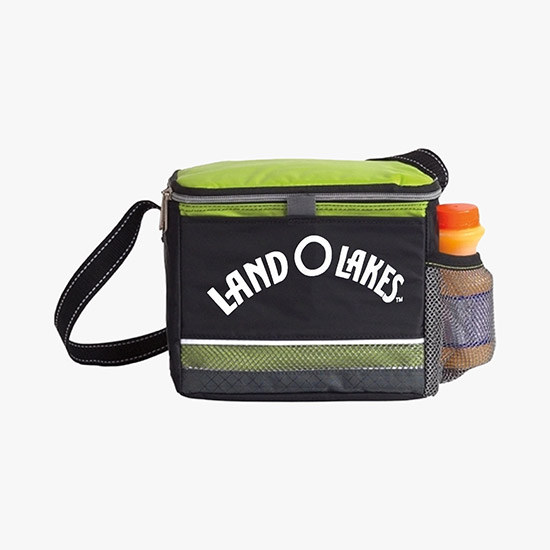 Icy Bright Lunch Cooler