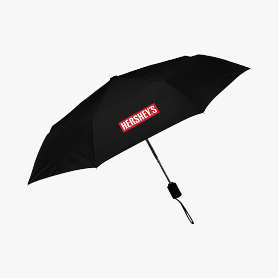 Executive Mini Umbrella