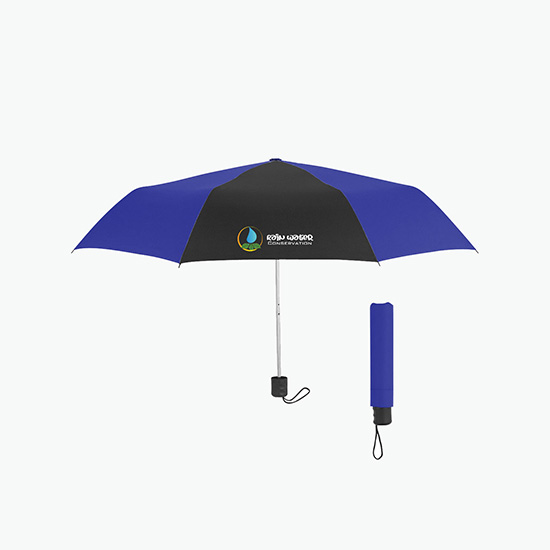 42 Arc Budget Umbrella - Full Color
