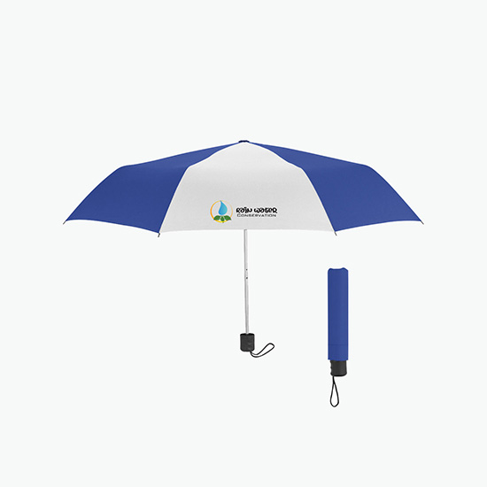 42 Arc Budget Umbrella - Full Color