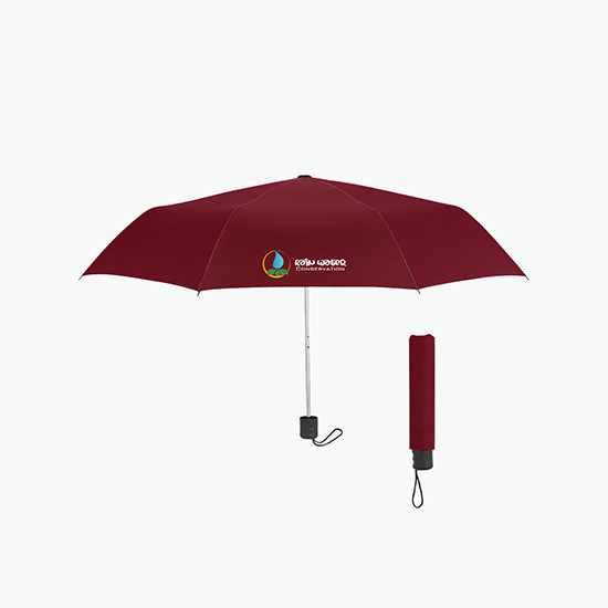 42 Arc Budget Umbrella - Full Color