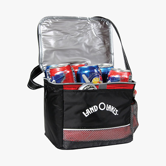 Icy Bright Lunch Cooler