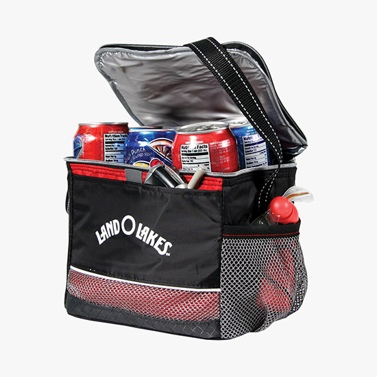 Icy Bright Lunch Cooler