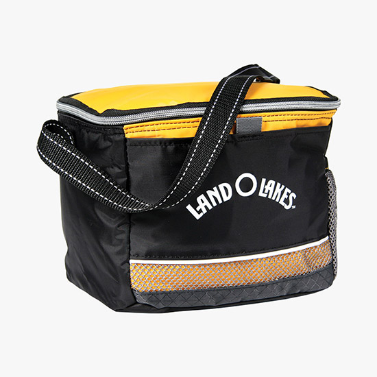 Icy Bright Lunch Cooler