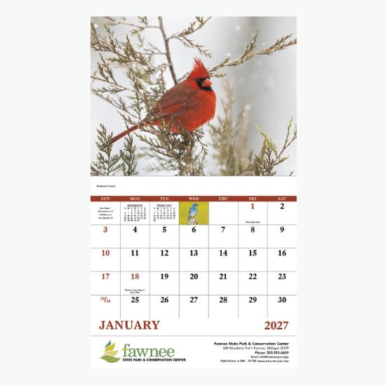 Birds of North America Wall Calendar - Stapled