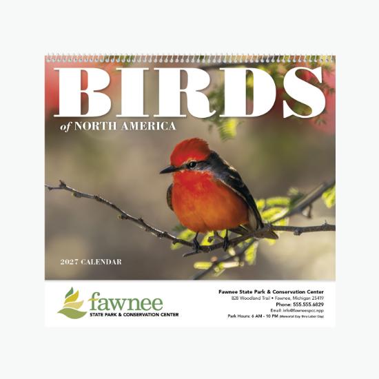 Birds of North America Wall Calendar - Spiral