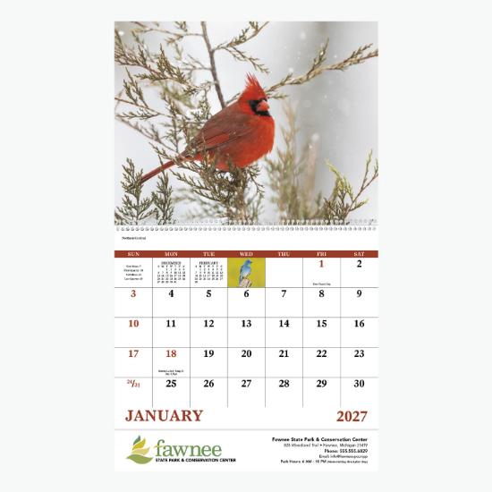 Birds of North America Wall Calendar - Spiral