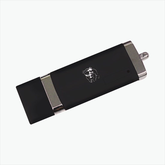Safe Traveler Flash Drive - 1GB