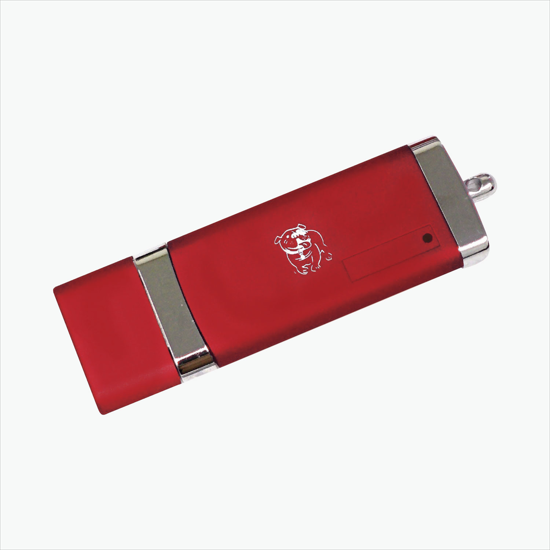 Safe Traveler Flash Drive - 1GB