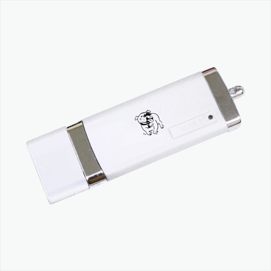 Safe Traveler Flash Drive - 8GB