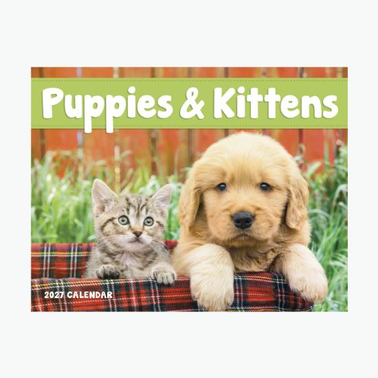 Window Wall Calendar - Puppies & Kittens