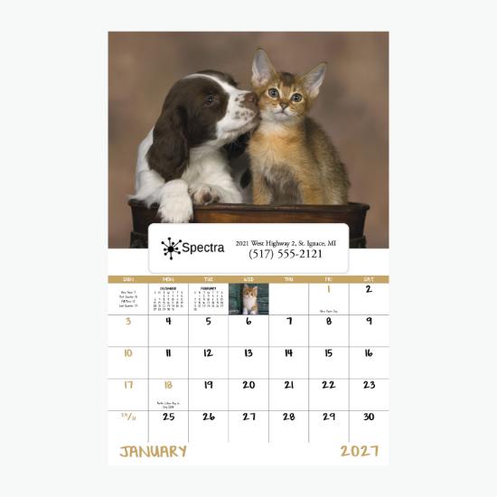 Window Wall Calendar - Puppies & Kittens