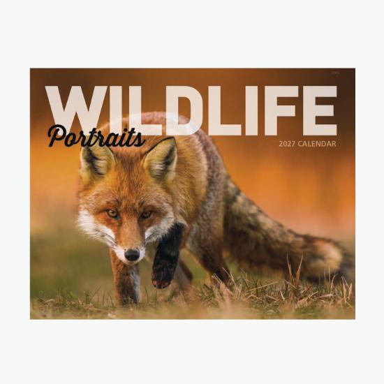Window Wall Calendar - Wildlife Portraits