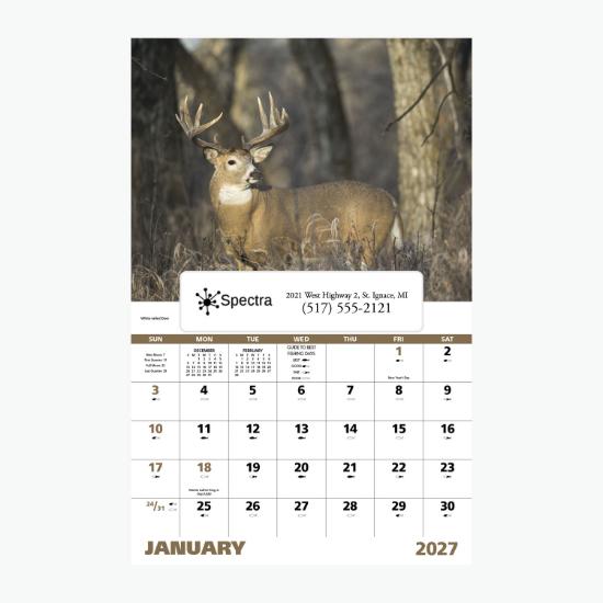 Window Wall Calendar - Wildlife Portraits
